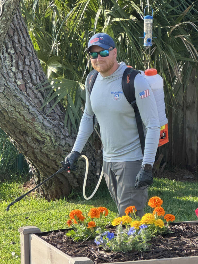 Top Rated Lawn Care Services in Jacksonville FL